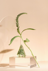 Bouquet Preservation Kit